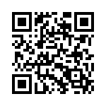 160691-2 QRCode