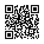 1613602 QRCode