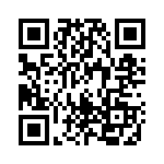 1613787 QRCode