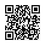 1617993 QRCode