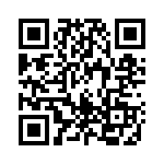 1619507 QRCode