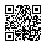 163A13859X QRCode