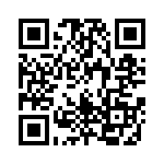 165X13539X QRCode