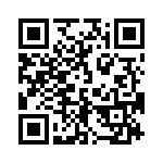 165X516539X QRCode