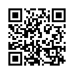 166L20 QRCode