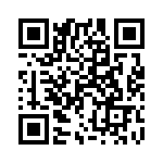 168333K250C-F QRCode