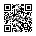 1691195203 QRCode