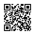 17-400303 QRCode