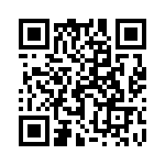 17011541603 QRCode