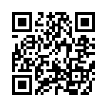 170124K400FE QRCode