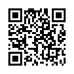 17021252002 QRCode