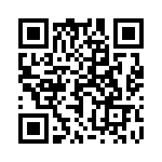 17021252003 QRCode