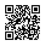 17021252008 QRCode