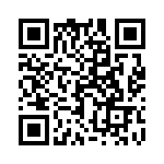 17021752203 QRCode