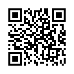 170333K400DB QRCode