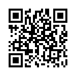 1703810 QRCode