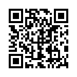 1705820091 QRCode