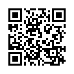 170733-3 QRCode