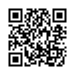 1709393 QRCode