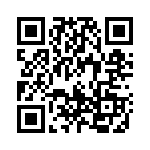 1710085 QRCode