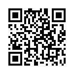 17112202006 QRCode