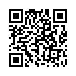 17131272002 QRCode