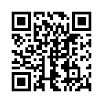 1717033 QRCode