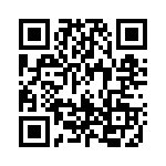 1719024 QRCode