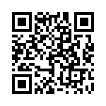 1720420206 QRCode