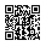 1720420303 QRCode