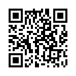 17211102101 QRCode