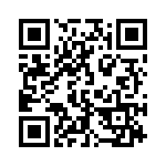 172125 QRCode