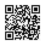 17281-3PG-300 QRCode