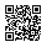 17291-3SG-300 QRCode