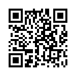 17341101101 QRCode