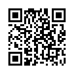 17341101102 QRCode