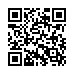 17610042101 QRCode