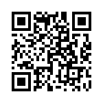 1761703001 QRCode