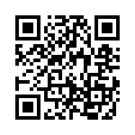 19127080411 QRCode