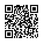 19300160272 QRCode