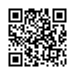 19300160282 QRCode