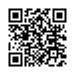 19300160297 QRCode