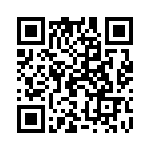 19300240273 QRCode