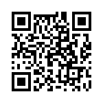 19396100545 QRCode