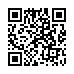 19400060410 QRCode