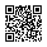 19410160273 QRCode