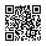 19511250001 QRCode