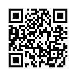 19628060291 QRCode