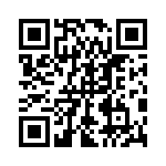 1N5376BRLG QRCode