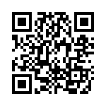 1N5381B QRCode